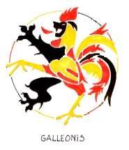 Galleonis pour une Belgique fédérale unie et tolérante - cliquer pour agrandir Galleonis